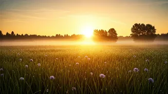 Embrace Your Day: 7 Morning Affirmations for a Calmer, More Focused You