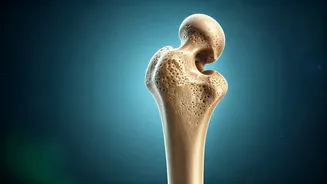 Fortify Your Foundation: Build Peak Bone Strength Before 40 for a Fracture-Free Future