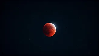 Related Stories banner