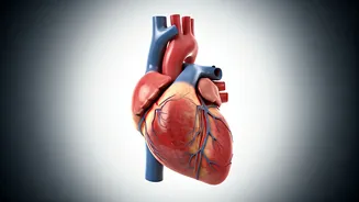 Heart Health in Your 30s: Early Checks That Matter!