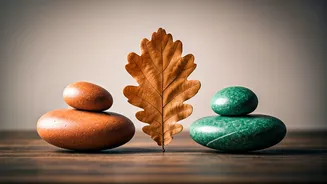 Ankur Warikoo's Crucial Questions for a Thriving Marriage: Beyond the Wedding Day