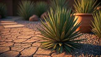 Monsoon Gardens Need June Prep To Survive