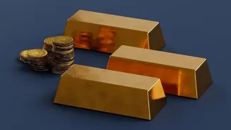 How Young Investors Invest In Gold Reserves Without Pay Locker Charges