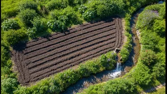 Before Adding Soil, Check Where Rainwater Will Actually Go