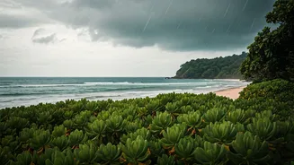 Monsoon Coast Has Entered The Holiday Moodboard