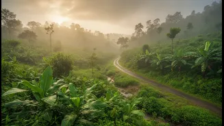 Why heavy monsoon rains do not stop slow-travel bookings in Wayanad Coorg