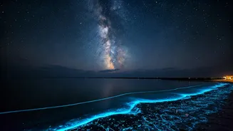 This Nighttime Travel Trend Is Pure Magic