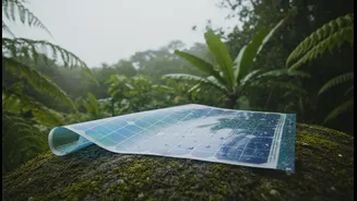 Scientists Develop High-Efficiency Solar Films Designed For Low-Light Weather