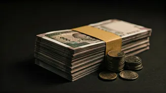 Unveiling India's Economic Survey: A Budget Primer