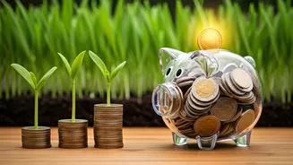 Hidden SIP fees erode wealth