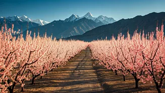 Related Stories banner