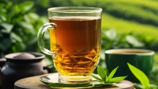 Artisanal Nilgiri Tea Estates Craft Premium Cold-Brew Options For Healthy Hydration