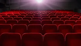Why Audiences Are Exploring More Films Beyond Star-Led Releases