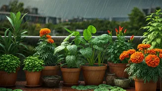 Urban Gardening Is Blooming This Monsoon