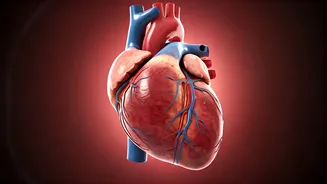 5 Science-Backed Secrets to a Longer, Healthier Life!