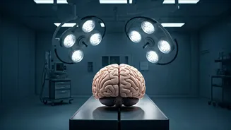 Related Stories banner