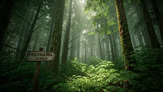 Forest Protection Starts With Monsoon Closures
