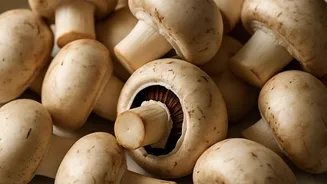 Related Stories banner