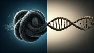 Hair Fall: Stress vs. Genetics - Decoding the Root Cause of Your Losing Strands