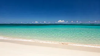 Indonesia Unveiled: Perfect Times for Travel & Adventures