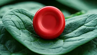 5 Drinks: Natural Haemoglobin Boost & Anemia Aid