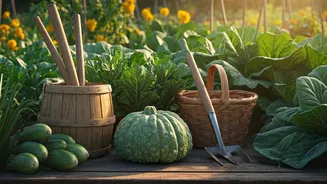 Bengaluru’s Eco Festival Has Community Written All Over