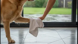 Monsoon Dog Care Starts After The Walk, Not Before It