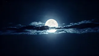 April 02, 2026 Panchang: Navigating the Full Moon, Hasta Nakshatra, and Auspicious Timings