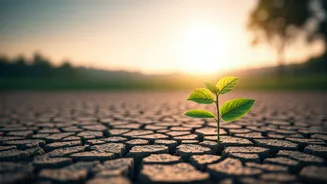 5 Paths to Bounce Back: Faster Healing After a Relationship Ends