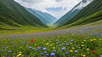 Valley Of Flowers Is July's Soft-Adventure Hook