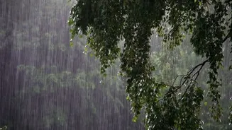 IMD issues orange alert for heavy rain in Odisha, Chhattisgarh