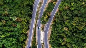 How To Enjoy Beautiful Forest Drives From Bengaluru To Wayanad In Early Winter
