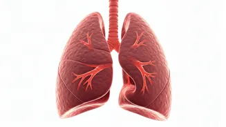 Yoga Can Improve Your Lung Health This Diwali
