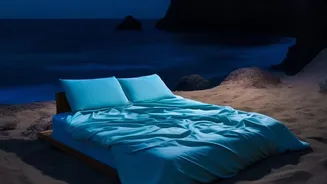 Monsoon Weather And Sleep: What Is Actually Known?