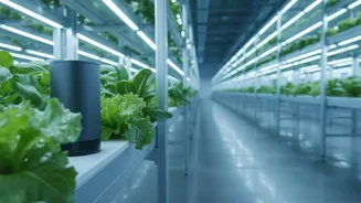 How Low Frequency Sound Vibrations Shield Urban Farms From Pest Damage