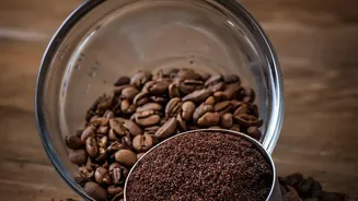 How To Use Coffee Grounds And Vegetable Scraps To Create Soil Compost For Urban Gardens