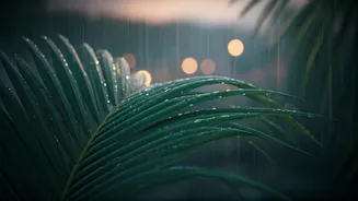 Monsoon Honeymoon Fever Is Real