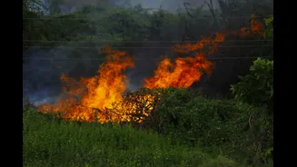 Heat Dome Intensifies Global Heatwaves, Impacts India