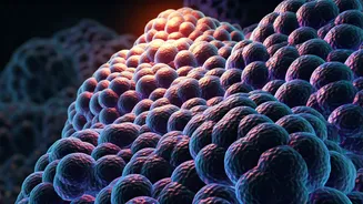 Kerala's 'State Microbe' Initiative: Unlocking Gut Health Through Beneficial Bacteria