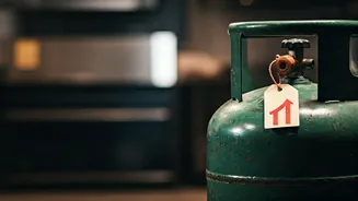 LPG Price Surge: Eateries Brace for Menu Hikes Amidst Cylinder Shortages