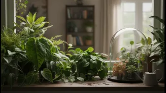 Plant Parents Need To Separate Rain-Loving Plants From Water-Sensitive Greens