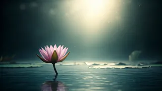 Chaitra Navratri 2026: Embrace Divine Energy, New Beginnings & Wishes