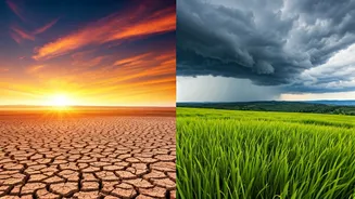 West Bengal's Weather Contrasts: Scorching South vs. Rainy North This Week!