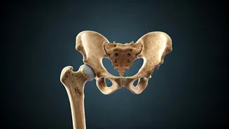 Build Strong Bones With These 5 Strategies