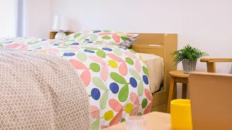 Small Homes Look More Inviting With Organic Colours And Textures