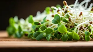 Sprouts Are Back In The Seasonal Wellness Chat