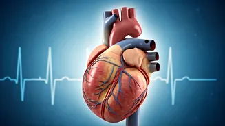 Know Your Heart Disease Risk and Reduce It