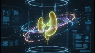 AI Analysis Of 27,612 CT Scans Links Thymus Health To Longevity