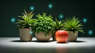 Wellness Lifestyle Becomes New India Trend