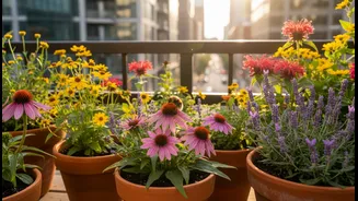 A Small Urban Balcony Can Still Support Bees, Butterflies And Other Pollinators